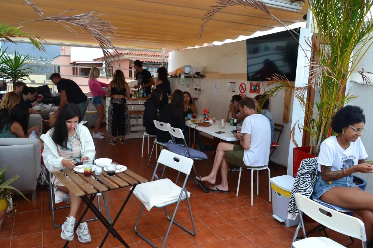 Puerto Nest Hostel Puerto de la Cruz  Puerto de la Cruz (Tenerife)
